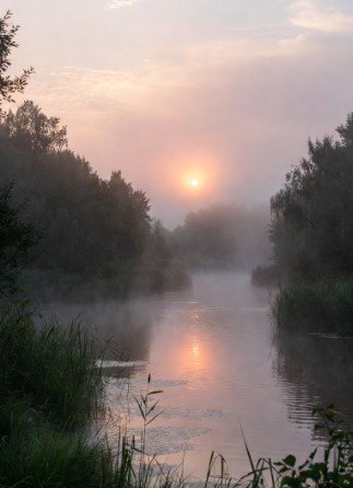 Sweet Baby Morning Wishes Images4