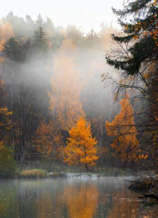 Crisp autumn morning nature view