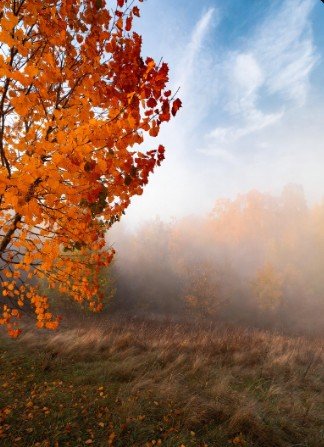 Crisp autumn morning nature view