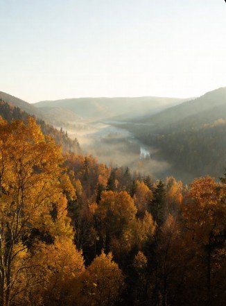 Crisp autumn morning nature view