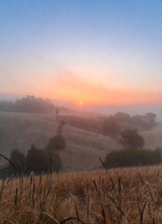 Dawn breaking over tranquil fields