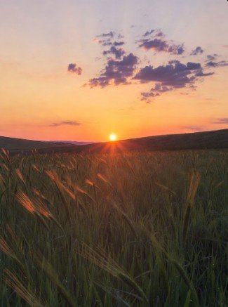 Dawn breaking over tranquil fields