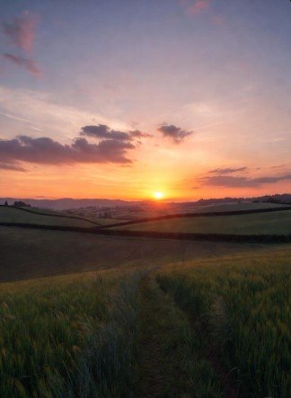 Dawn breaking over tranquil fields