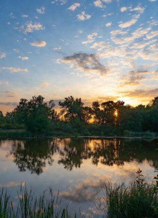 Nature beautiful good morning scenery