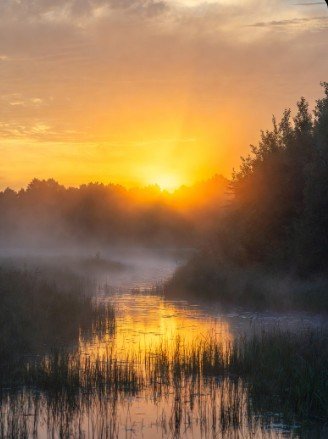 Nature beautiful good morning scenery