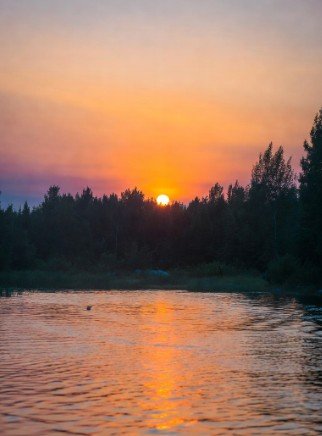 Nature beautiful good morning scenery