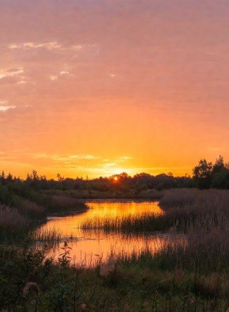 Nature beautiful good morning scenery