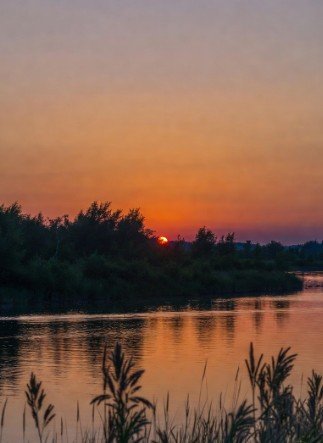 Nature beautiful good morning scenery