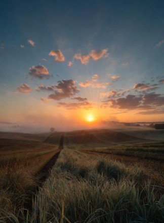 Peaceful countryside sunrise photography
