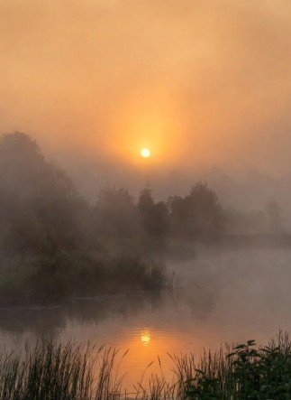 Serene morning lake with misty background