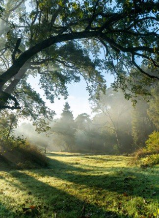 Saturday Morning Blessings1