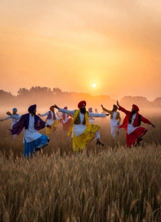 Sunrise Bhangra Dance in Wheat Fields4